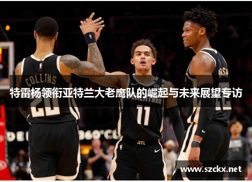 特雷杨领衔亚特兰大老鹰队的崛起与未来展望专访