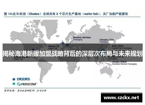 揭秘海港新援加盟战略背后的深层次布局与未来规划